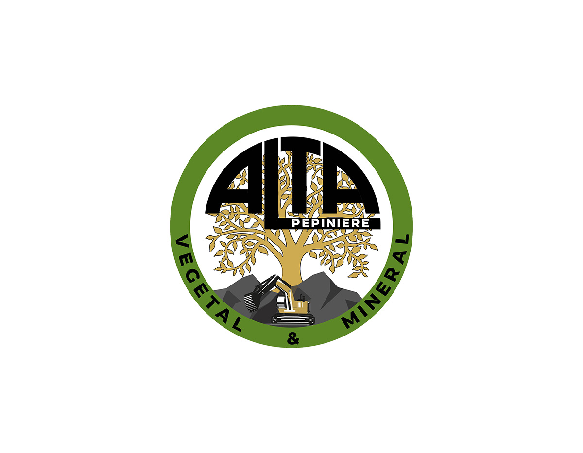 Magasin plantes d’intérieur décoratives et robustes sans entretien à Saint-Maximin-la-Sainte-Baume